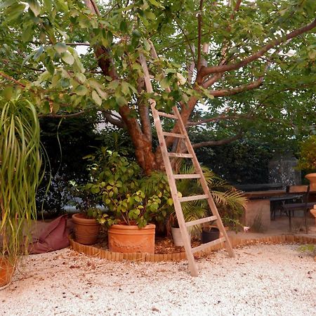 Jardin Vieux Port Panier Hotel Marseille Luaran gambar