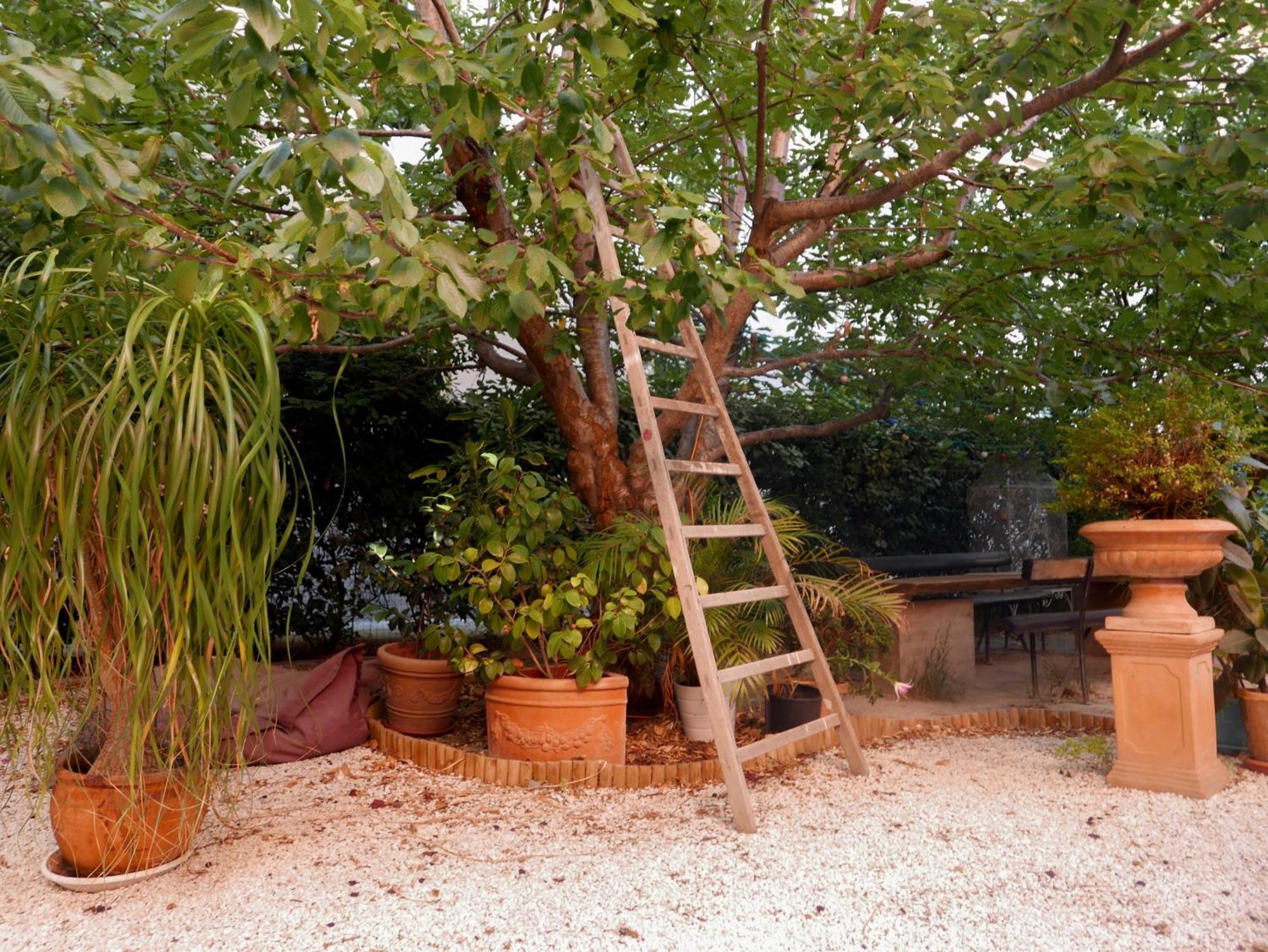 Jardin Vieux Port Panier Hotel Marseille Luaran gambar