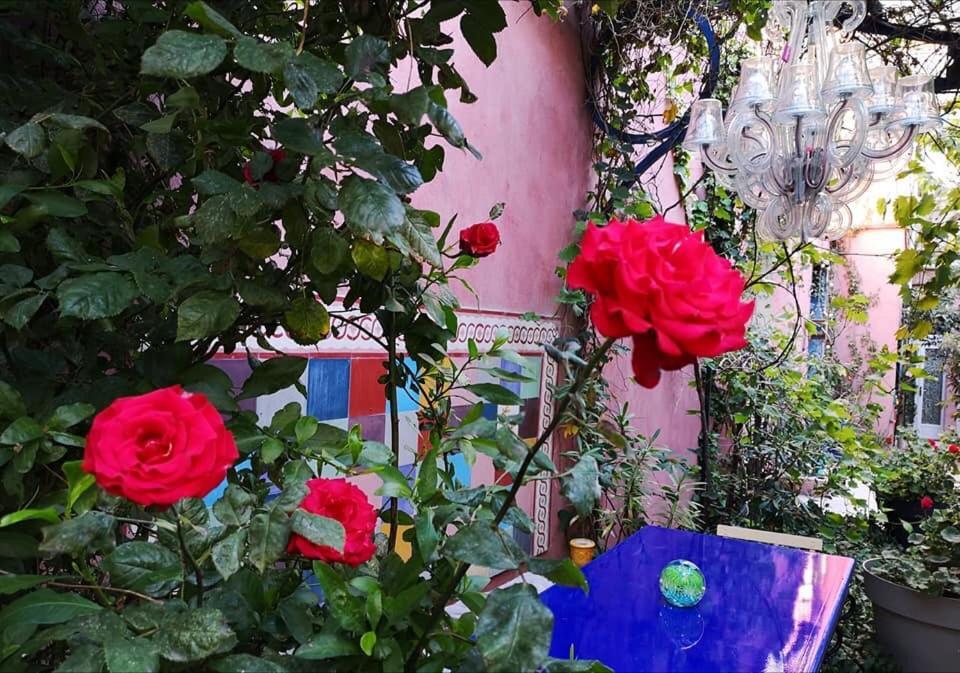 Jardin Vieux Port Panier Hotel Marseille Luaran gambar